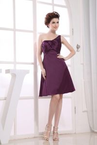 Dark Purple Sheath One-Shoulder Knee-Length Ruched Dress for Dama in Crieff