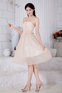 Strapless Knee-length Party Dama Dresses in Organza with Appliques in Pullman