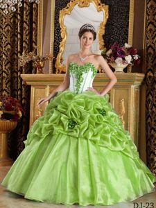 Ruffled Sweetheart Floor-length Sweet 16 Dress in Green and White in Cedar