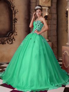 Green A-line Sweetheart Floor-length Quinceanera Gowns with Appliques
