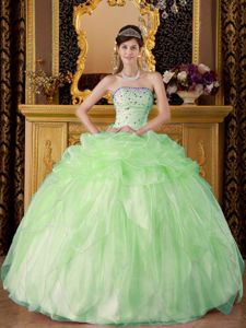 Apple Green Strapless A-line Sweet 16 Dresses with Appliques and Ruffles
