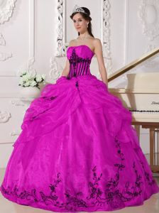 Hot Pink Strapless Floor-length Sweet 16 Dresses with Appliques in Edgar