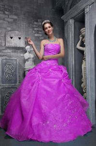New Arrival Organza Light Purple Quinceanera Gown Dresses with Appliques