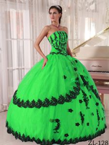 2012 Top Appliqued Spring Green Sweet 15 Dresses in El Alto Bolivia