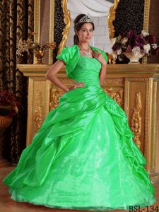 Classic Appliqued Spring Green Quinces Dresses with Pick-ups for Wholesale