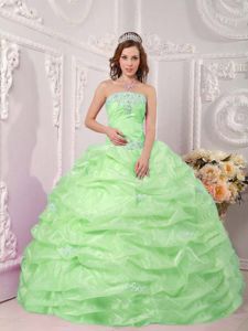 Modernistic Strapless Appliqued Apple Green Sweet 15 Dresses on Sale