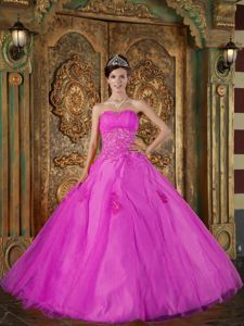 Fuchsia Sweetheart Organza with Appliques Quinceanera Dress in Doylestown