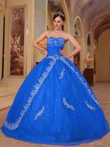 Blue Sweetheart Organza and Sequin Embroidery and Beading Sweet 16 Dress