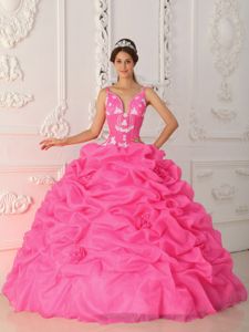 Pink Straps Hand Made Flowers and Appliques Quinceanera Dress in Beaverton
