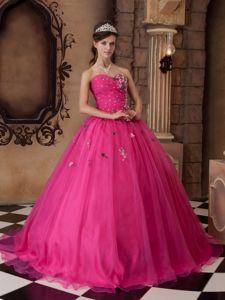 Hot Pink A-line Sweetheart Organza Beading Quinceanera Dress in Stillwater