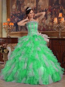 Green Strapless Appliques and Ruffles Organza Quinceanera Dress in Oxford