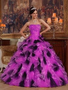 Fuchsia and Black Ball Gown Strapless Organza Quinceanera Dress in Mentor