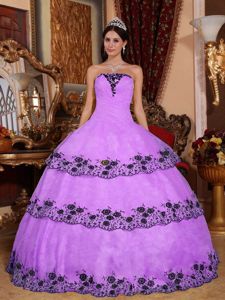 Lilac Strapless Organza Lace Appliques Quinceanera Dress in Bowling Green