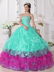 Colorful Ball Gown Strapless Organza Appliques Quinceanera Dress in Hickory