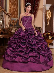 Dark Purple One Shoulder Taffeta Pick-ups Sweet Sixteen Dress in Durham
