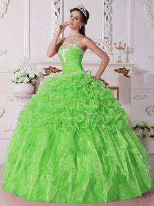 Pretty Spring Green Strapless Quinces Dresses with Appliques and Ruffles