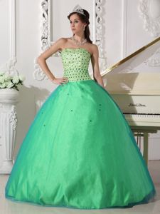 Simple Spring Green Floor-length Quinceanera Gown with Beading in Troy