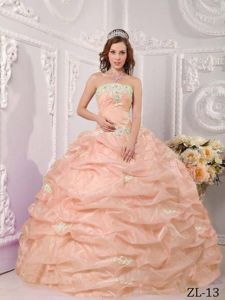 Pick Ups and Floral Appliques Strapless Sweet 15 Dresses near Moundsville