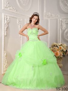 Spring Green Flowers Quinceanera Dresses with Lace Hemline in Ripley