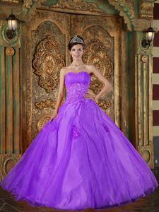 Ruching and Appliques Sweetheart Quinceanera Gown Dresses in Athens