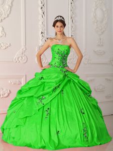 Green Strapless Appliques and Pick Ups Quinceanera Dresses in Snohomish
