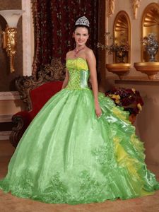 Diamonds and Embroidery Decorated Quinces Dress in Green in Gig Harbor
