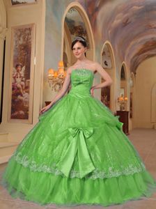 Green Strapless Floor-length Sequined Quinceanera Dress with Bows