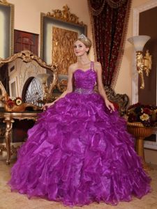 Purple One Shoulder Organza Quinceanera Dress with Beading in Ashland