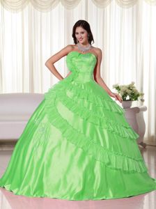 Spring Green Strapless Taffeta Quince Dress with Embroidery in Espinal
