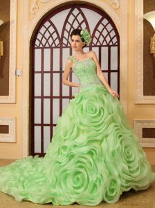Beaded Green Quince Dress with Rolling Flowers and Chapel Train in Soacha