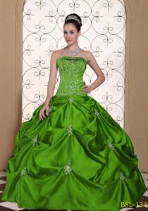 Cheap Green Strapless Embroidery and Pick Ups Quinceanera Gown Dresses