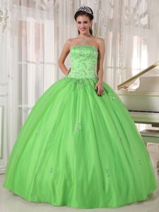 Floral Embroidery Spring Green Sweet Sixteen Quinceanera Dresses