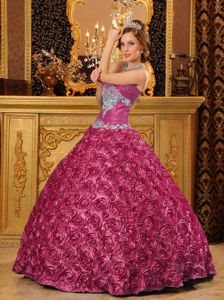 Appliques and Ruching Rilling Flowers Quinceanera Dresses in Beckley