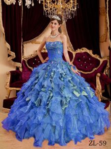 Blue Ruffled and Ruched Quinces Dresses with Leopard near Mercer Island