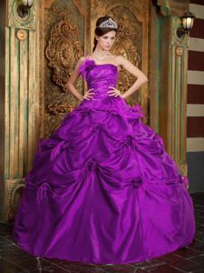 Handle Flowers and Pick Ups Ruching Quinceanera Gowns in Bremerton