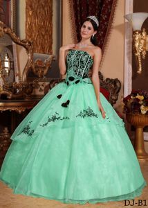 2013 Hot Sale Apple Green Strapless Organza Embroidery Quinceanera Dress in Butler