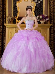 Lilac Strapless Organza Beading and Pick-ups Quinceanera Dress in Newport RI