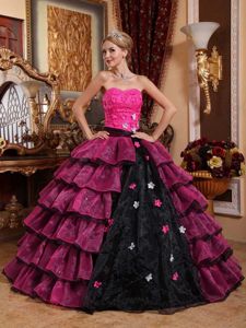 Hot Pink and Black Strapless Organza Appliques Quinceanera Dress in Charlottesville