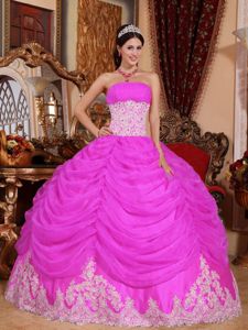Hot Pink Strapless Organza Beading Quinceanera Dress 2013 Hot Sale in Kaysville