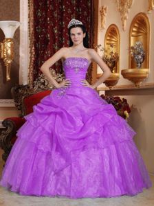 Best Seller Purple Strapless Organza Quinceanera Dress with Beading and Pick-ups