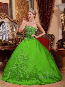 Green Strapless Floor-length Satin Embroidery Quinceanera Dress in Bountiful