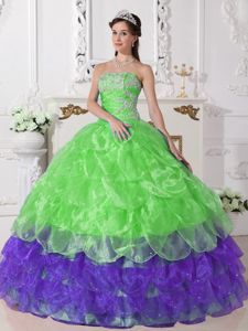 Brand New Colorful Strapless Appliques Quinceanera Dress in Bellingham 2013