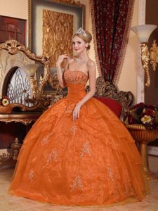 2013 Hot Sale Strapless Organza Appliques Quinceanera Dress in Orange