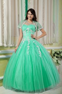 Green Sweetheart Floor-length Tulle Appliqued Quinceanera Dress in Kenosha
