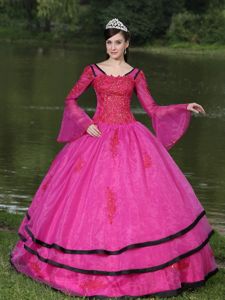Appliqued Fuchsia V-neck Quinceanera Dress with Long Sleeves in Ibague