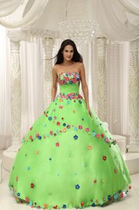 Spring Green Quninceaera Gown with Appliques in Buenaventura Colombia
