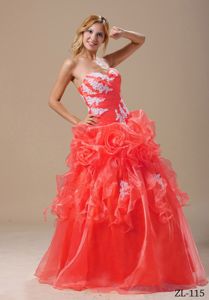 Appliqued Floor-length Sweet 16 Dresses with Hand Flowers in Brookfield