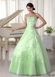 Organza Appliqued Sweetheart Quinceanera Dress with Beading in Charleston