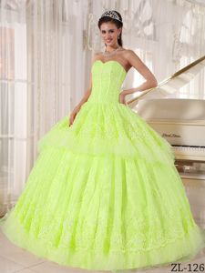 Sweetheart Organza Quinceanera Gown Dresses with Appliques in Mejillones