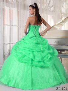 Strapless Floor-length Organza Appliqued Quince Dress in Green in Leesburg